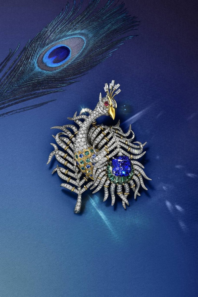 The Summer Release of Blue Book 2024: Tiffany Céleste