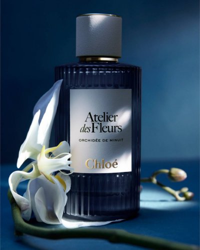 Fall Into Winter with a Warm Fragrance