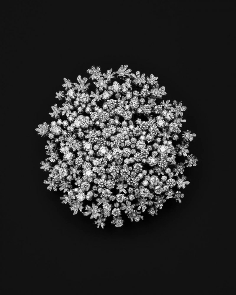 تصميم Fleur de Carotte