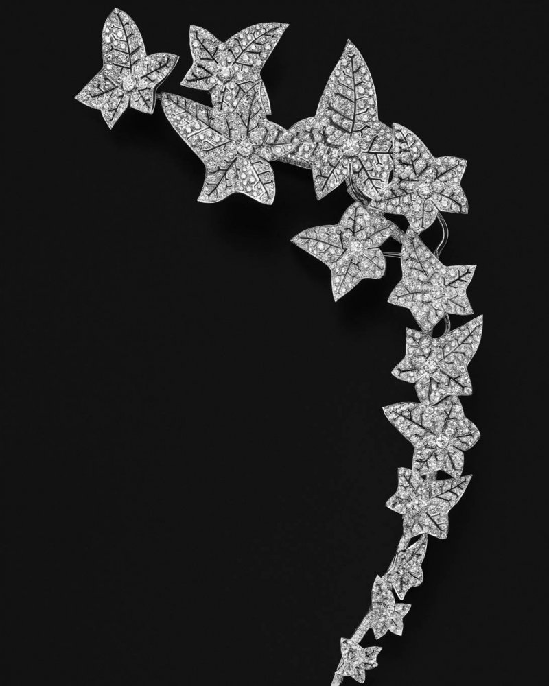 تصميم Lierre