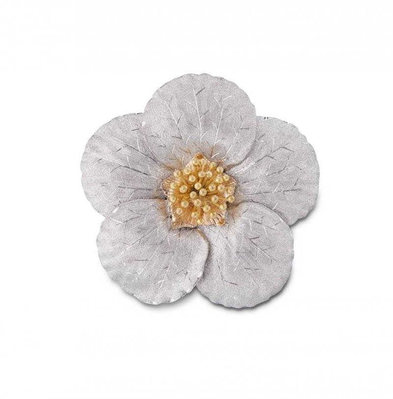 بروش Magnolia من بوتشيلاتي