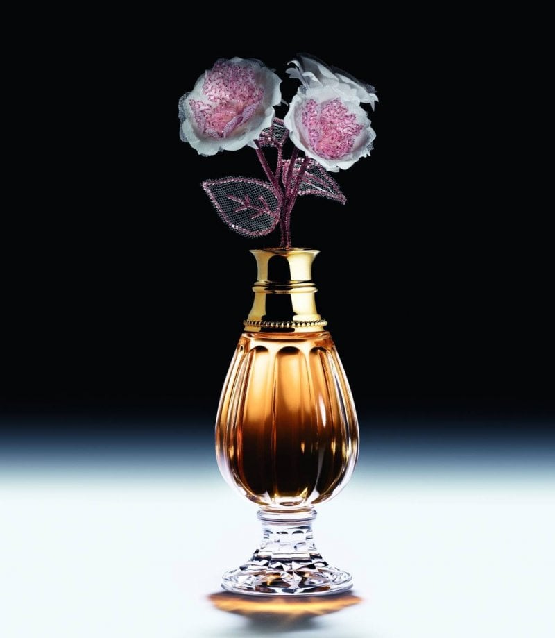 تشكيلة العطور المختارة