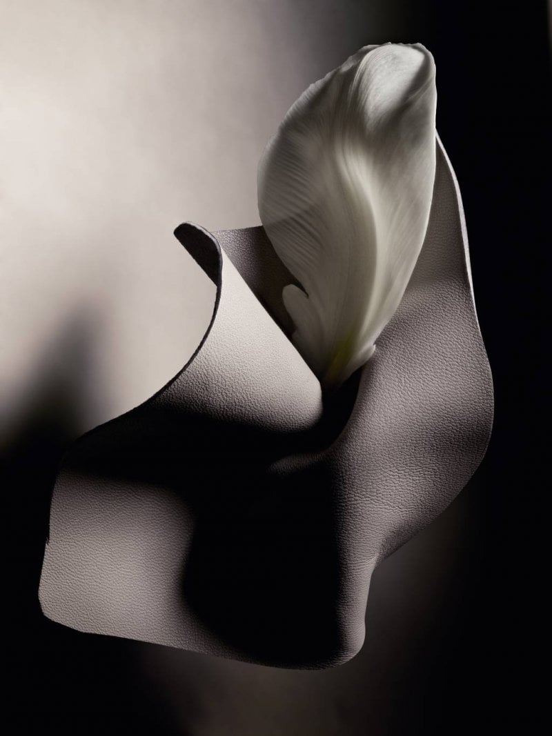 Two Souls, One Scent