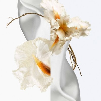 Scent-Sational – The New Fragrances You Can’t Miss