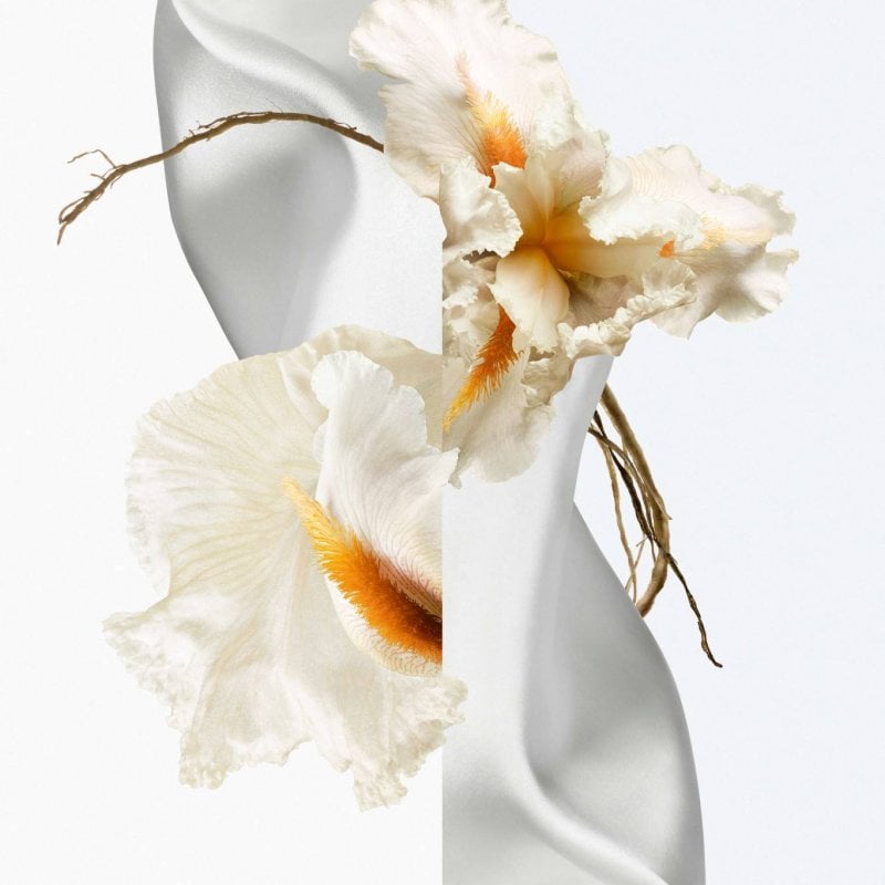 Scent-Sational – The New Fragrances You Can’t Miss