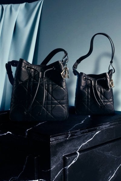 The Charm of the Dior D-Motion Bag