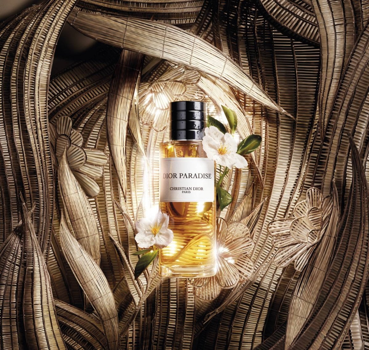 ديور تكشف عن Dior Paradise ضمن مجموعة La Collection Privée