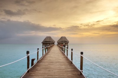 تفقّدوا مجموعة جزر زنجبار
