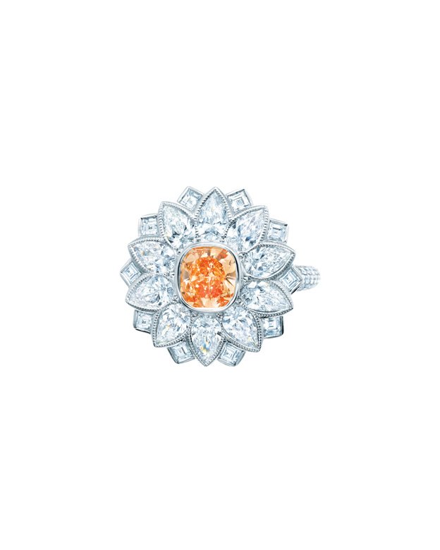 <strong>Tiffany & Co.</strong>, Colors of Wonder high jewelry ring<br />
 