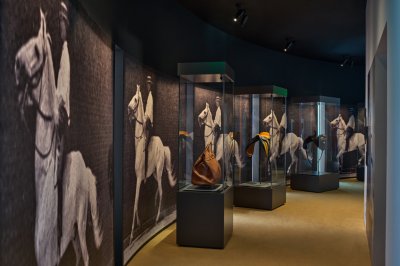 Enter the New Herm&egrave;s Exhibition: &ldquo;Harnessing the Roots&rdquo;
