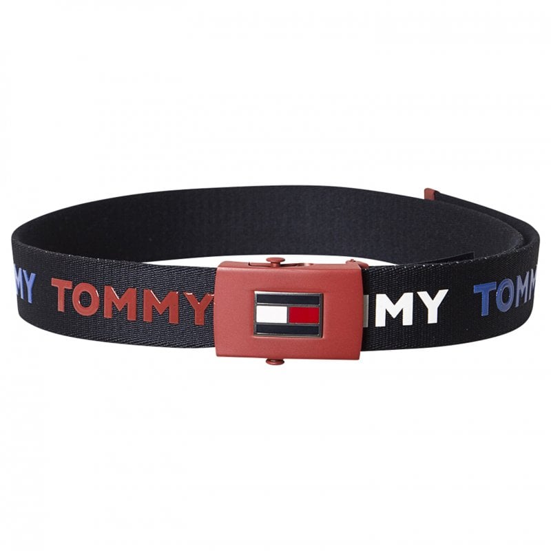 Tommy Hilfiger belt<br /> <em>Via Alexandalexa.com</em><br />
&nbsp;