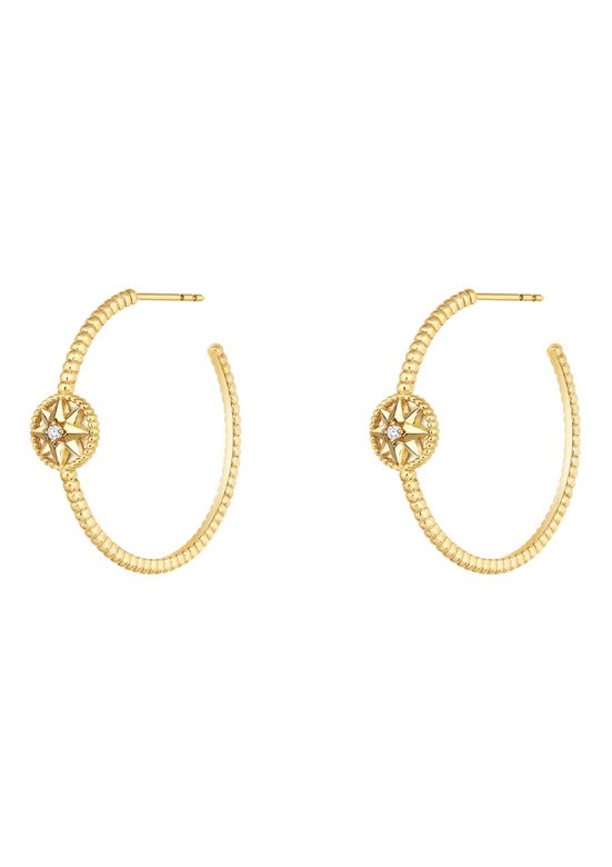 <strong>Dior</strong>, Rose des Vents earrings<br />
 