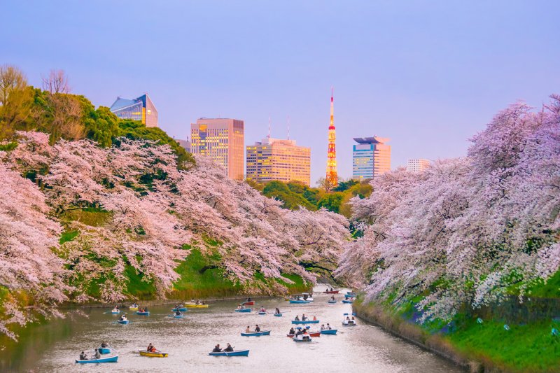 <strong>Tokyo, Japan</strong><br />
In Tokyo, the end of winter is marked by the blooming of cherry blossom trees and people celebrate it with a ritual they call “banami” – which means “looking at flowers”. Pick up your lunch and enjoy eating it in nature.<br />
 