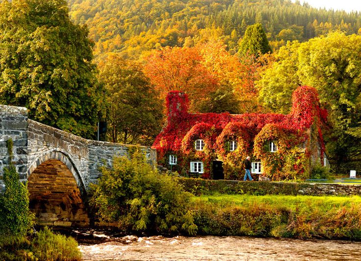 <strong>Wales, United Kingdom</strong><br /> <em>Photo Courtesy of Pinterest.com</em><br />
If you’re looking for a fall adventure, Wales and more specifically Wye Valley is your place to be. Not only is it home for the most breathtaking landscapes, but also offers a 50-mile hiking trail as the valley uncovers its popping colors, in addition to mysterious castles and awesome caves.<br />