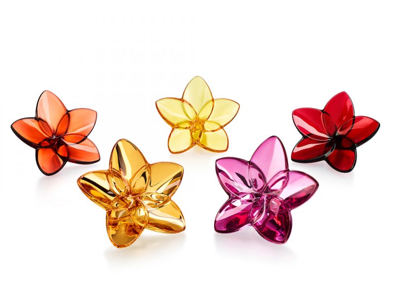 <strong>Baccarat</strong>, Bloom set<br /> <em>Available at Tanagra</em><br />