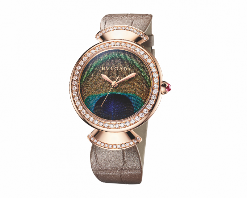 Diva's Dream Peacock<br />
 