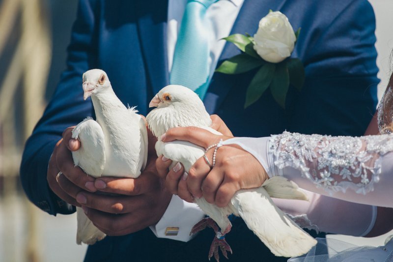 <p>In the Philippines, the concept of a dreamy romance reaches new levels. In fact, every Filipino bride and groom release a pair of doves together on their wedding day as these birds are believed to add peace and harmony to their life as a couple.</p>
