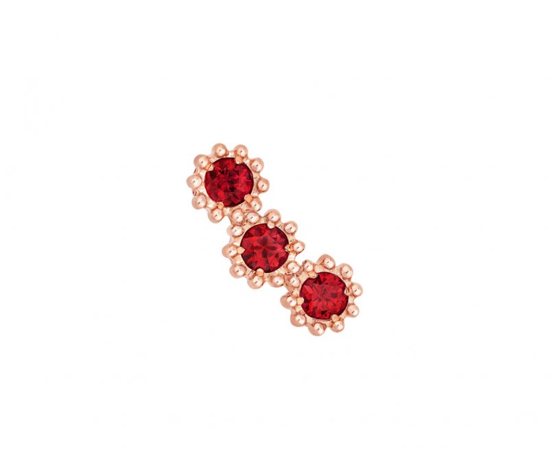 <strong>Ear Climbers</strong><br />
Dior, Mimirose earrings<br />
 