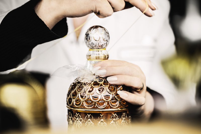 دعونا نتعرّف إلى غيرلان

