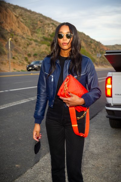 Celebrities and the Amazing LV Coussin Bag
