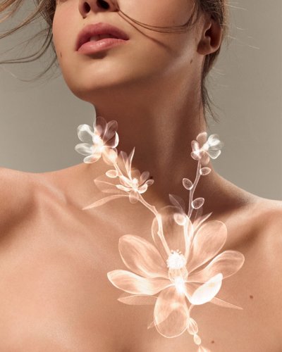 Not One, nor Two, but Three New Cartier Perfumes
