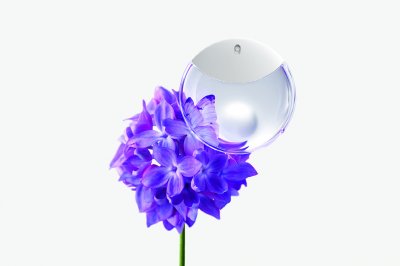 Exploring Freshness with Feminine Fragrances
