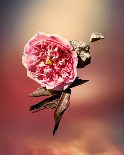 Pamper Her with a Captivating Oriental Perfume this Ramadan

