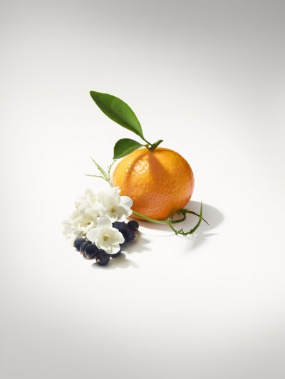 Fill Your Summer Days with the Lightness of Citrus Scents
