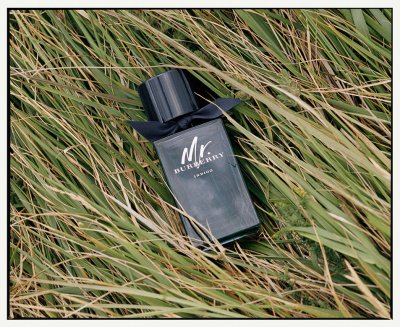 Summer Gets Fresher with These Scents

