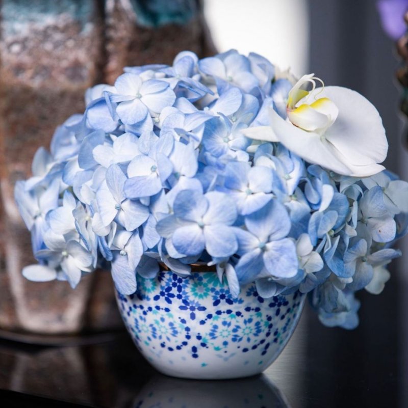 5 Blooms to Enjoy this Spring
