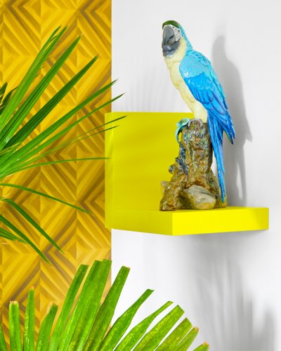 Tanagra Goes Tropical
