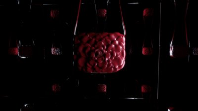 وردة حمراء من فالنتينو غارافاني