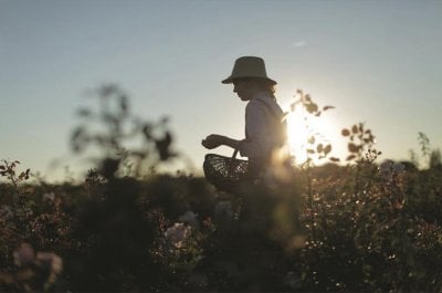Dior, a Legacy in Sustainable Beauty

