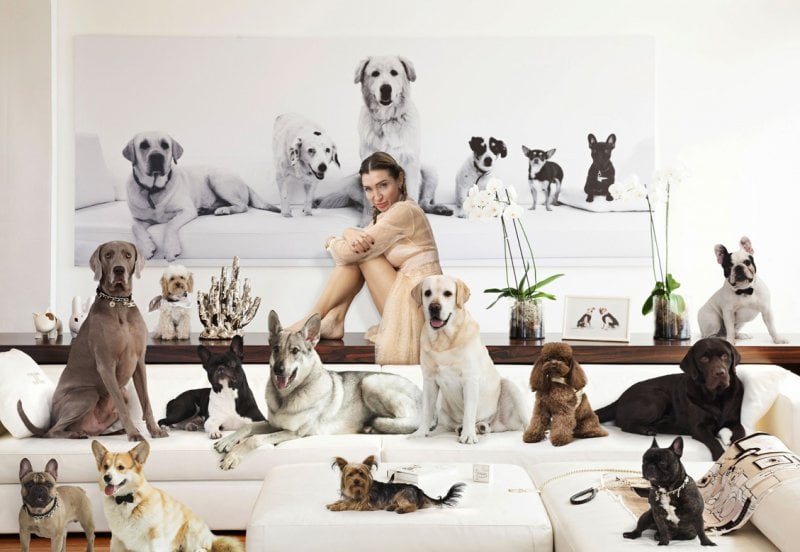 تعرّفي إلى مؤسّسة ONLUS من إليزابيتا فرانكي
