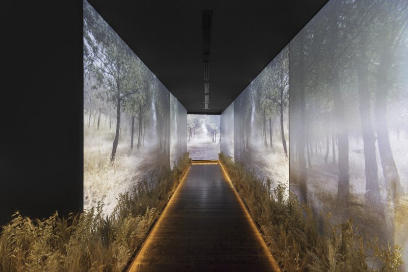 لوريم ايبسوم دولار سيت أميت -&nbsp;فيديو
