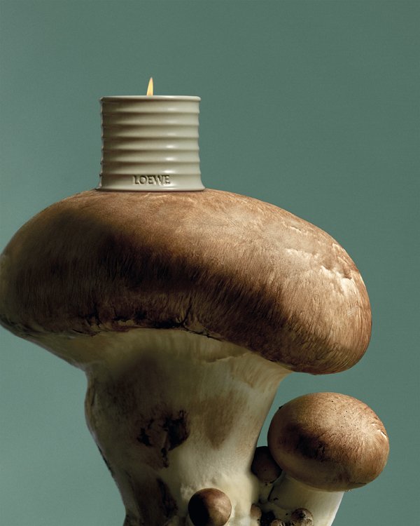 LOEWE Perfumes Introduces Two New additions to the Home Scents Range
