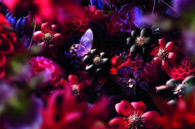 A Van Cleef &amp; Arpels Floral Universe
