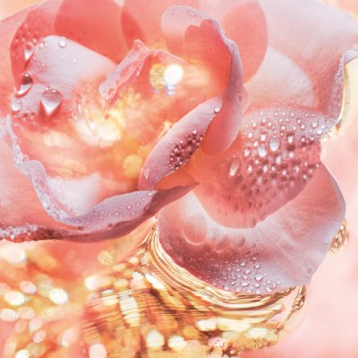 هل تعلمين... من اخترع العطور؟
