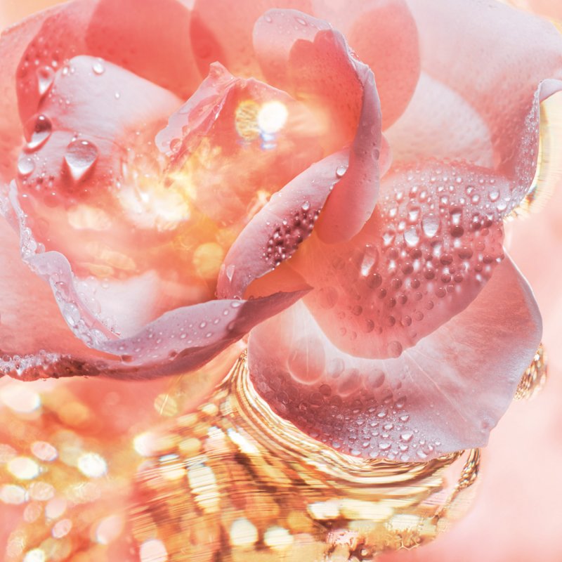 Did You Know … Who Invented Perfumes?
