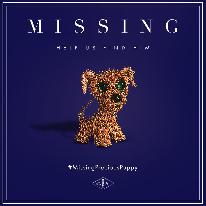 Help Find a Missing Precious Puppy
